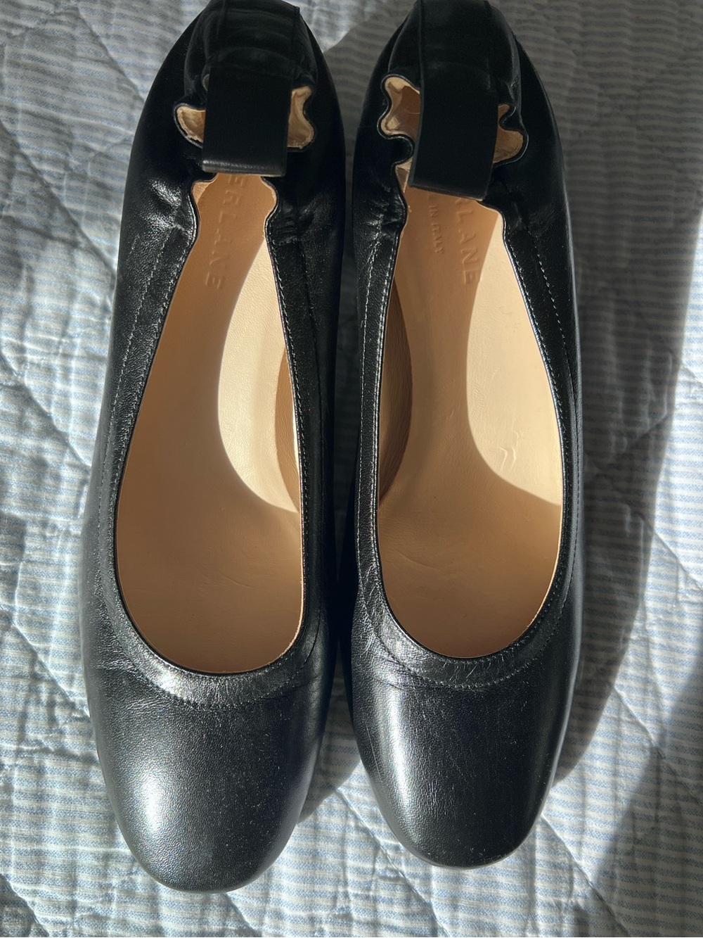 Everlane Black Leather The Day Heel